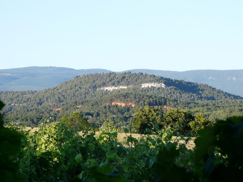 Lou Amourie Roussillon en Isere Екстериор снимка